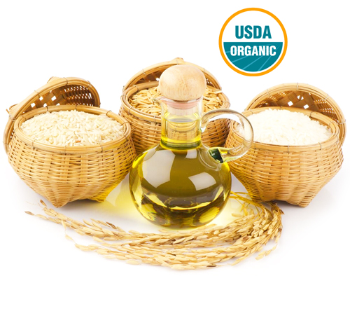 wholesale organic rice bran oil suppliers in united states